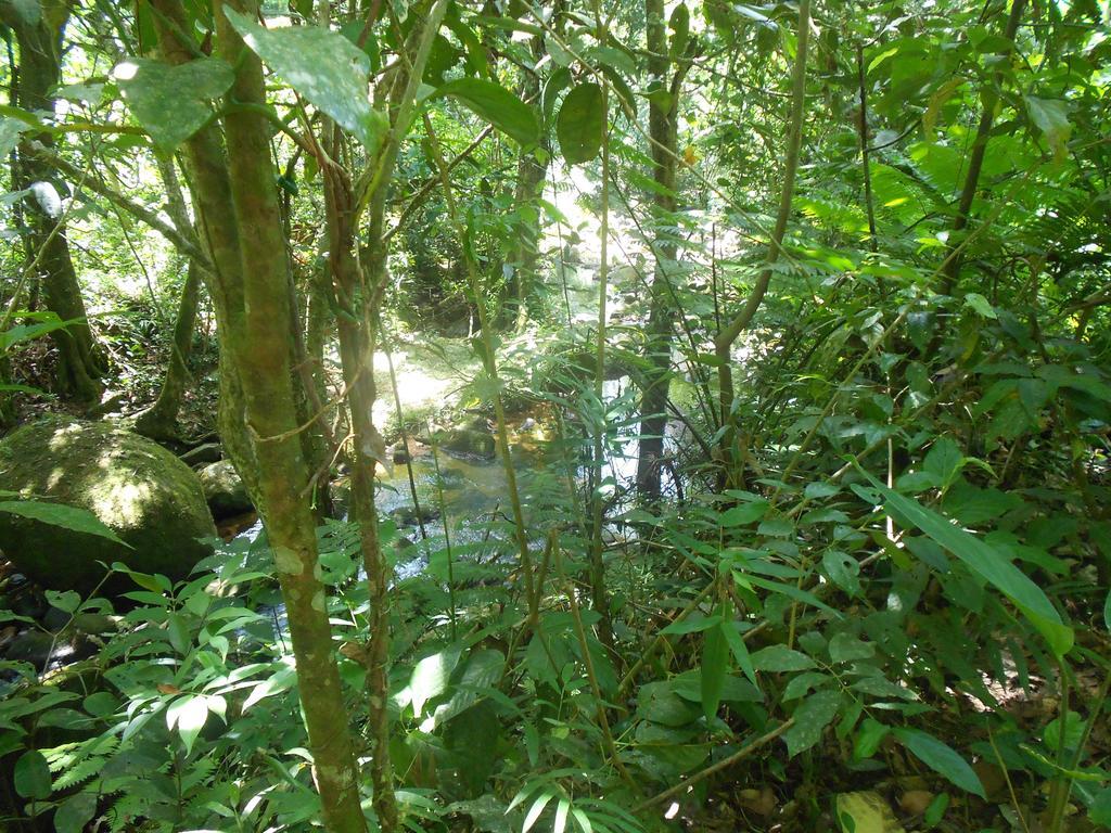 Recanto Marazul Ubatuba Exterior foto